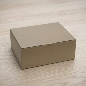 HỘP CARTON NẮP GÀI GF14